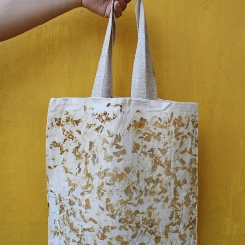 Brownliving Eco-friendly Reusable shopping bag - Bageeya